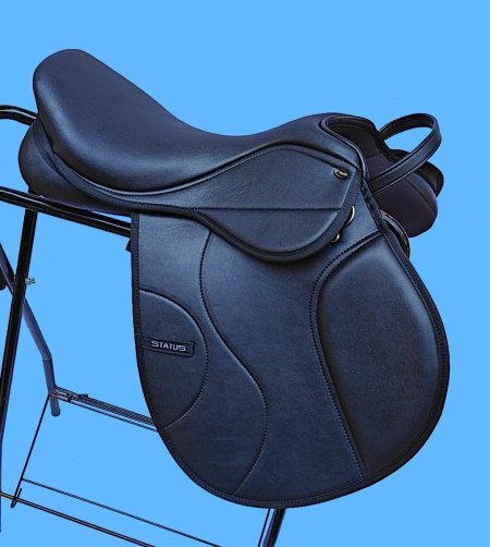 سرج ستيتوس خيل