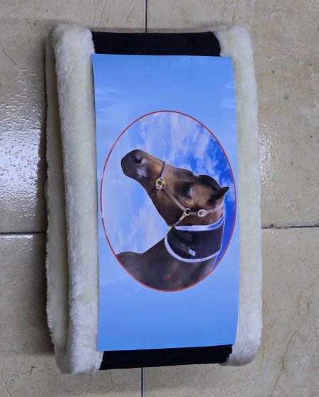 مشد رقبة خيل