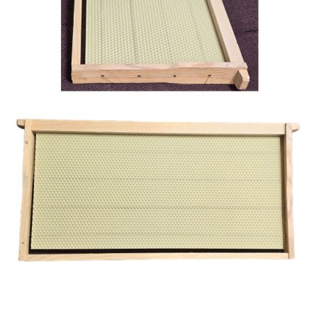 برواز نحل شمع اسرائيلي