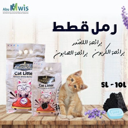 رمل القطط الجديد