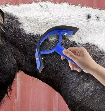 جرادة خيل