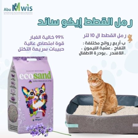 اللافندر