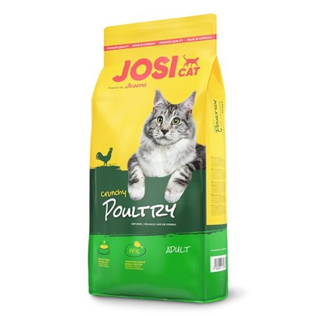 اكل قطط  JOSCAT
