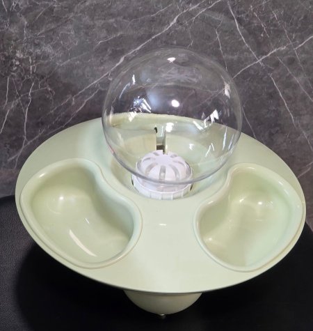 الاخضر الفاتح