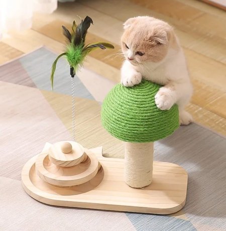 ستاند قطط نخلة