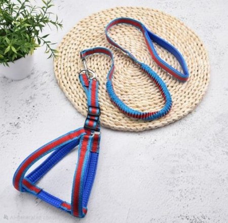 حبل كلاب مع سدرية