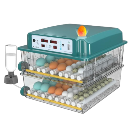 فقاسة 120 بيضة طابقين